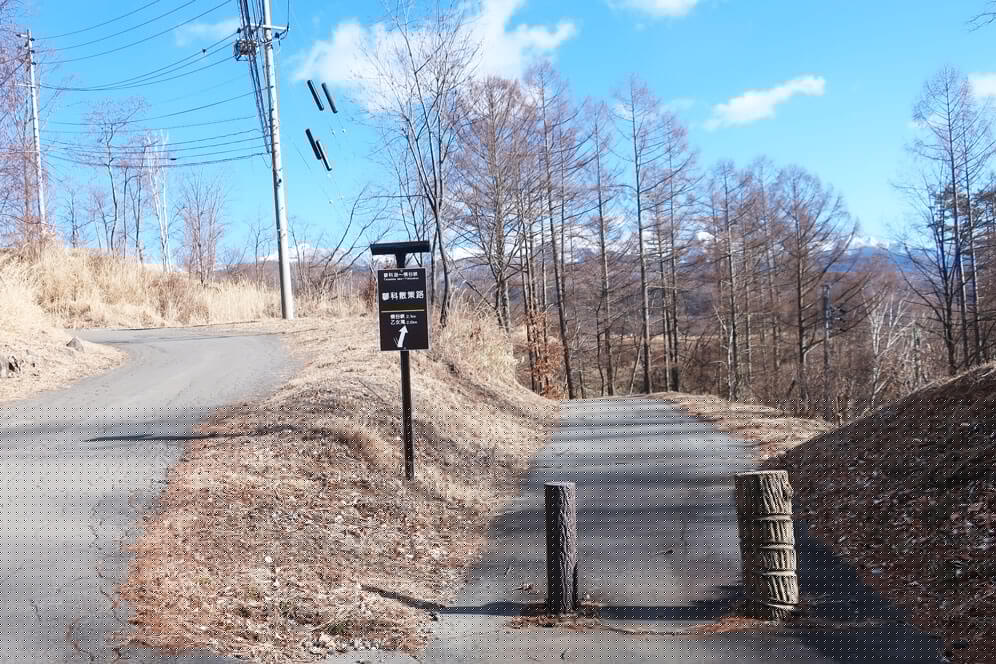 蓼科散策　北八ヶ岳　分岐右