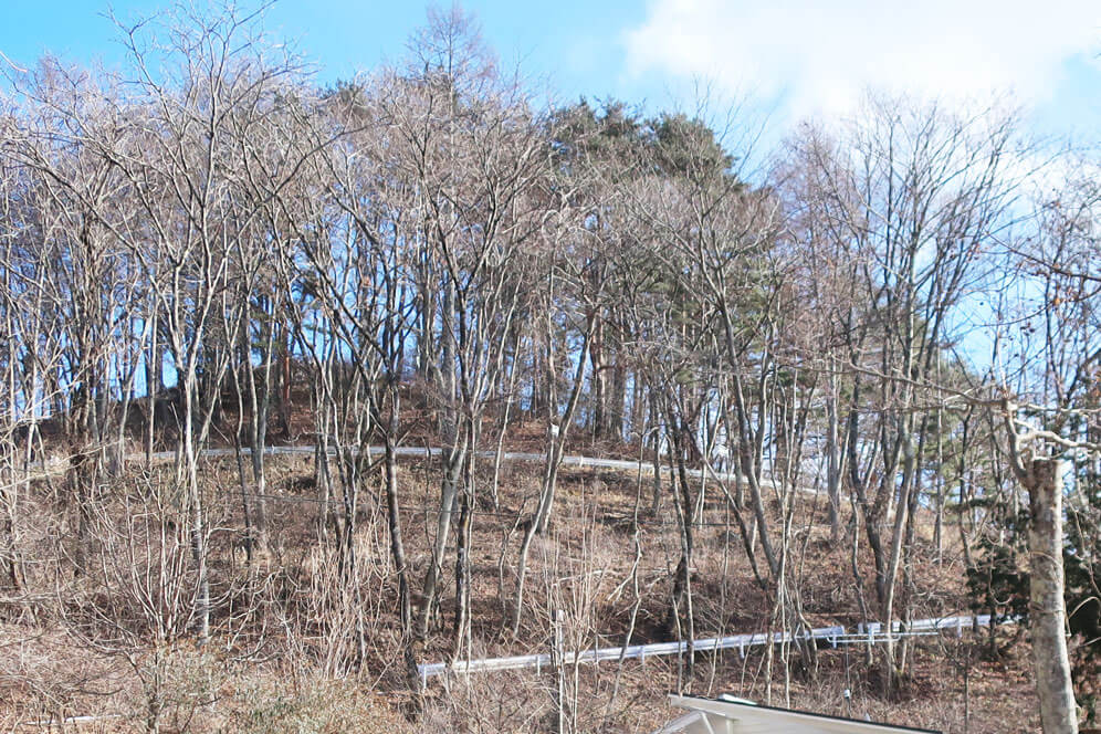 蓼科散策　乙女滝　坂道全景