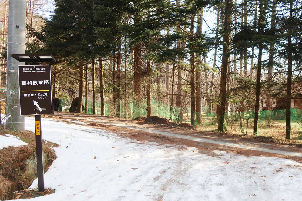 蓼科散策　T字ゴール